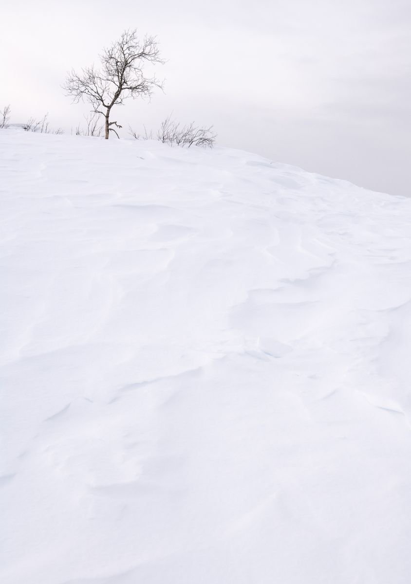 Impressionistic Landscape Photograph By Tom Hanslien, 33 X 47", Solitude, Original Artwork