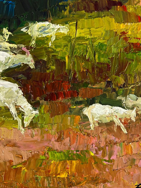 White Goats in the Meadows
