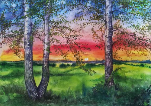 Summer Sunset Over the Meadow and Birch Trees by Anastasia Zabrodina