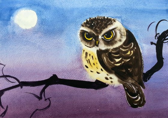 Midnight Owl