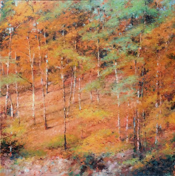 Forest 1.