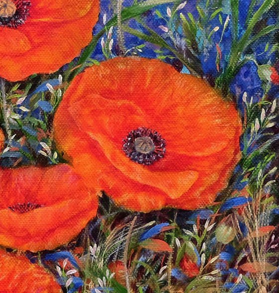 Poppies with wild flowers.