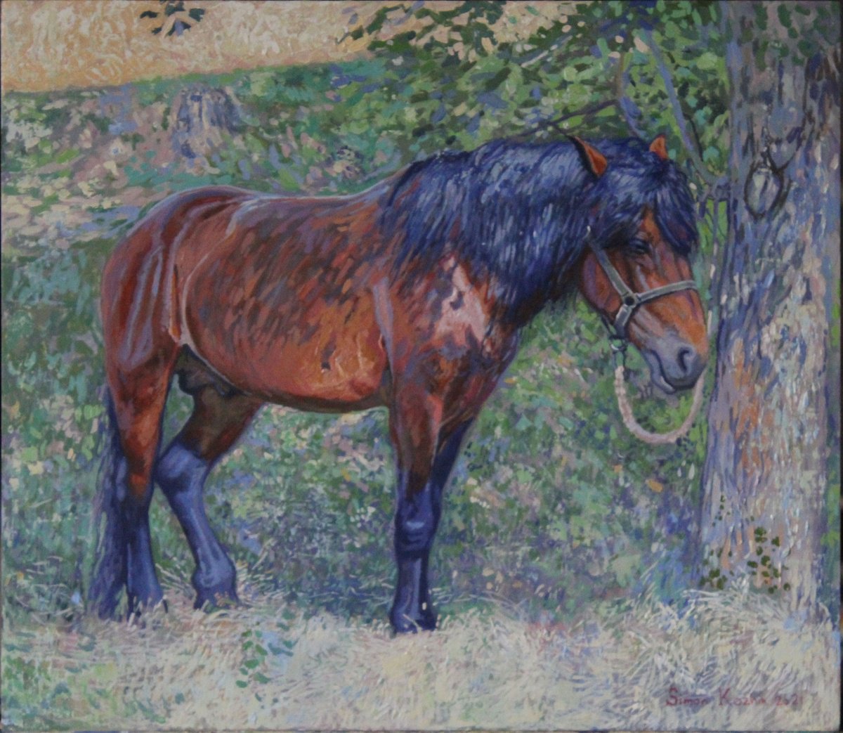 Horse in the shade of trees by Simon Kozhin