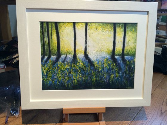 Bluebells 2