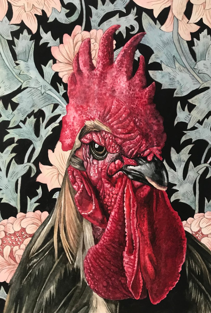 Cockerel by Lisa Lennon