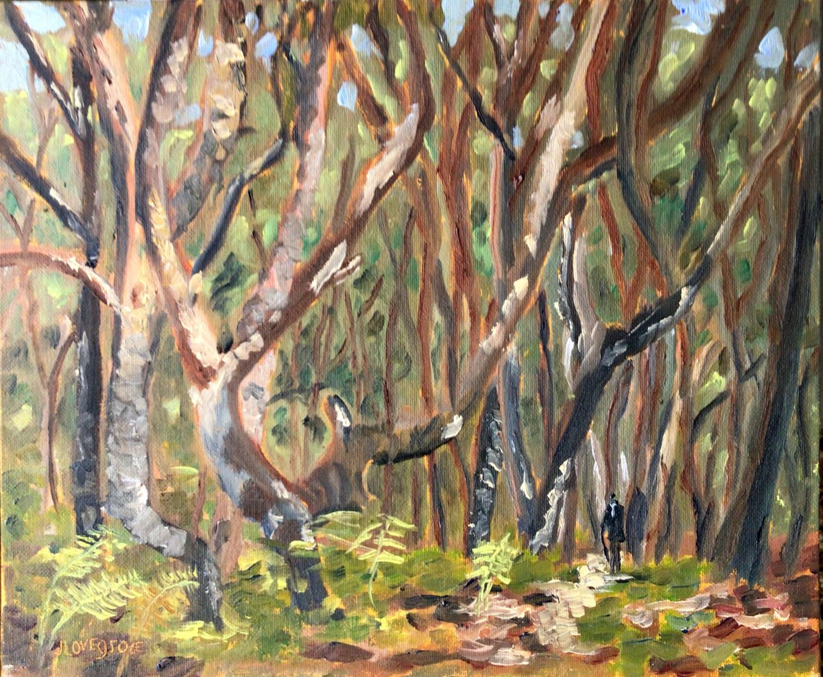 Woodland landscape, An original oil painting. by Julian Lovegrove Art