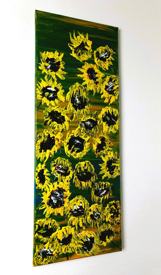 Blooming sunflowers 1