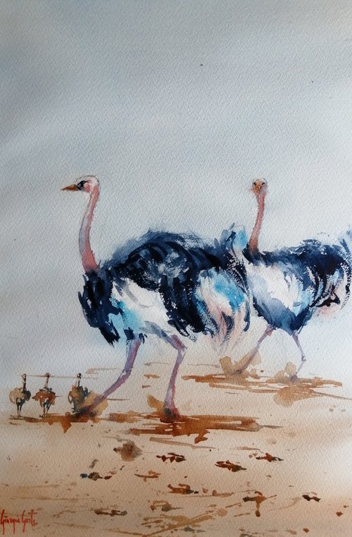 ostriches by Giorgio Gosti
