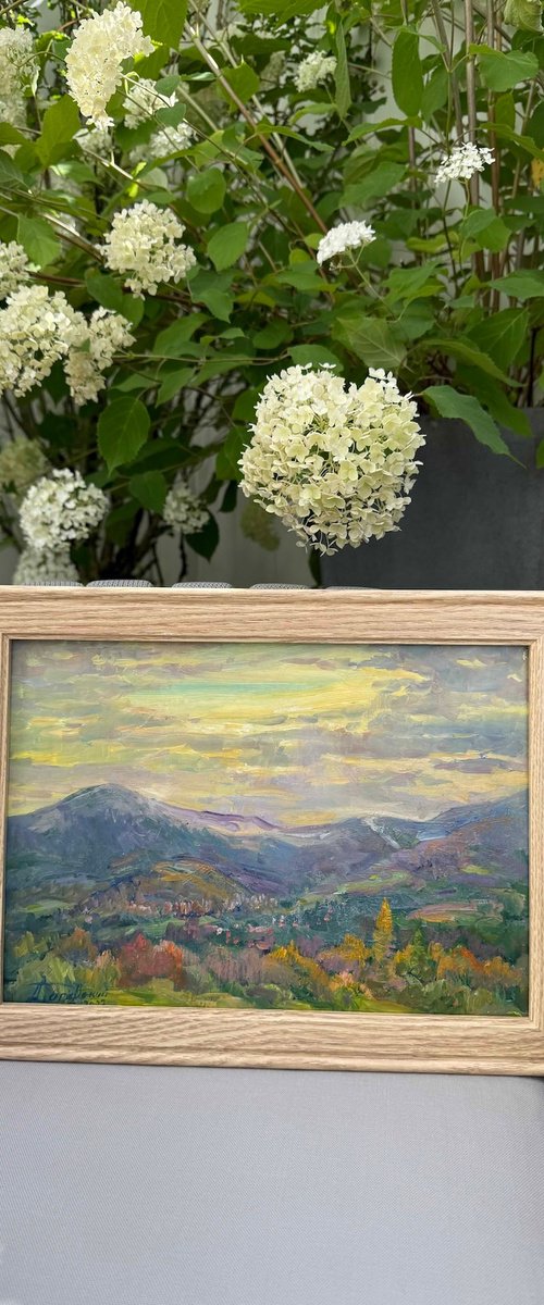 Evening Light over Mountain Valley by Aleksandr Dubrovskyy