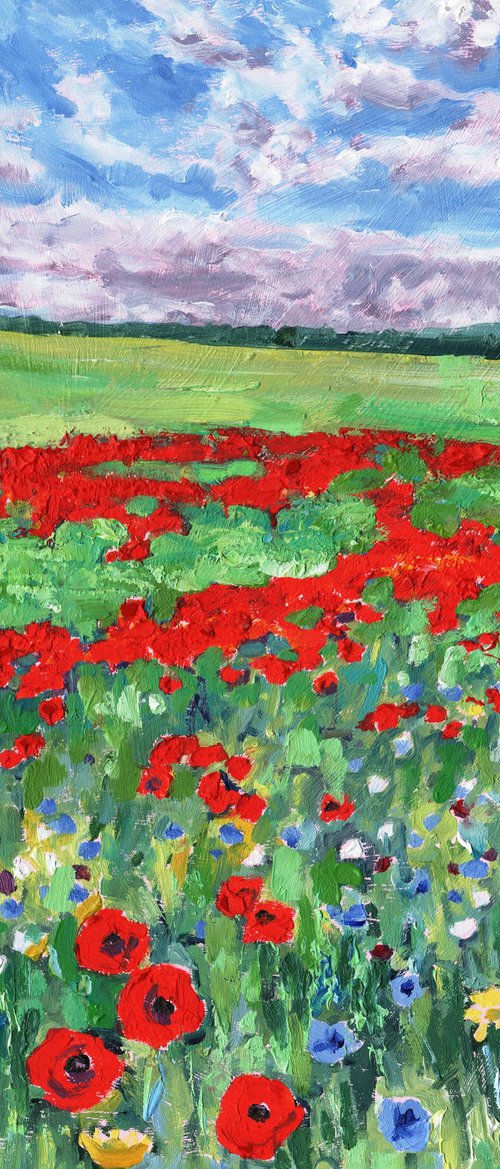 June Poppies by Zoe Elizabeth Norman