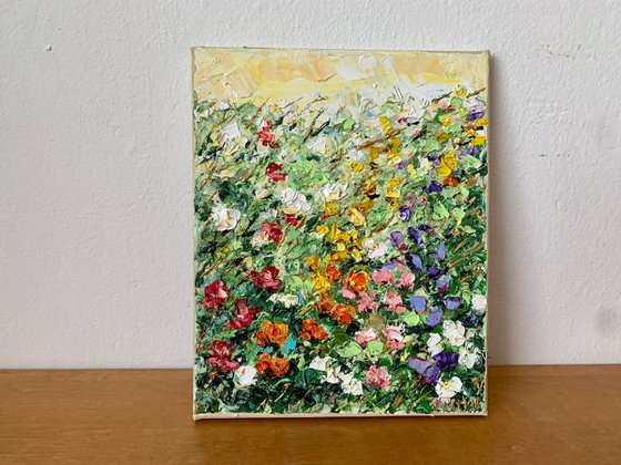 Colorful garden flowers