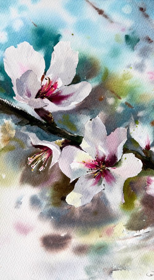 Almond flowers #5 by Eugenia Gorbacheva