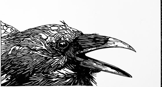 Crows Are Family, Too