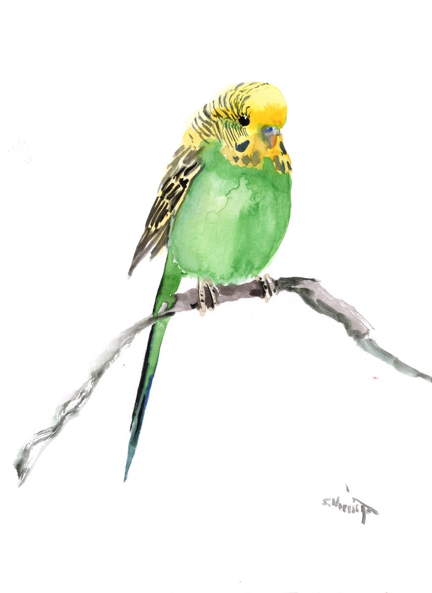 Budgie, Parakeet painting by Suren Nersisyan