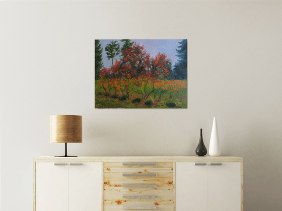 Autumn Landscape