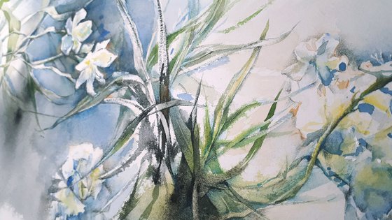 White oleander plant