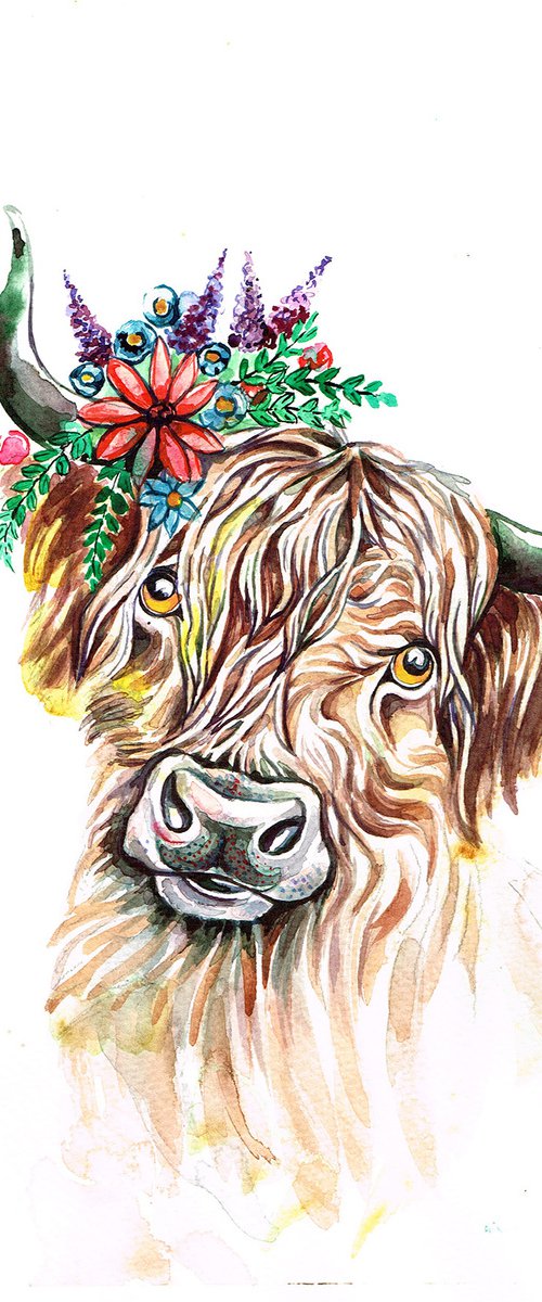 Highland Moo Cow with Spring Flowers by Diana Aleksanian