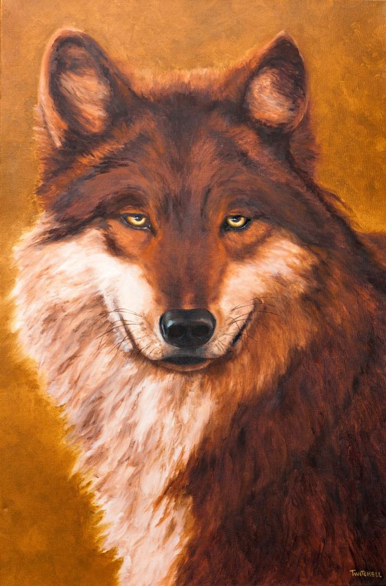 Hunter Wolf