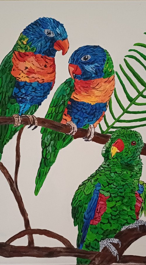 Parrots by Corinne Hamer
