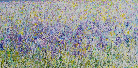 Wild Iris Meadow