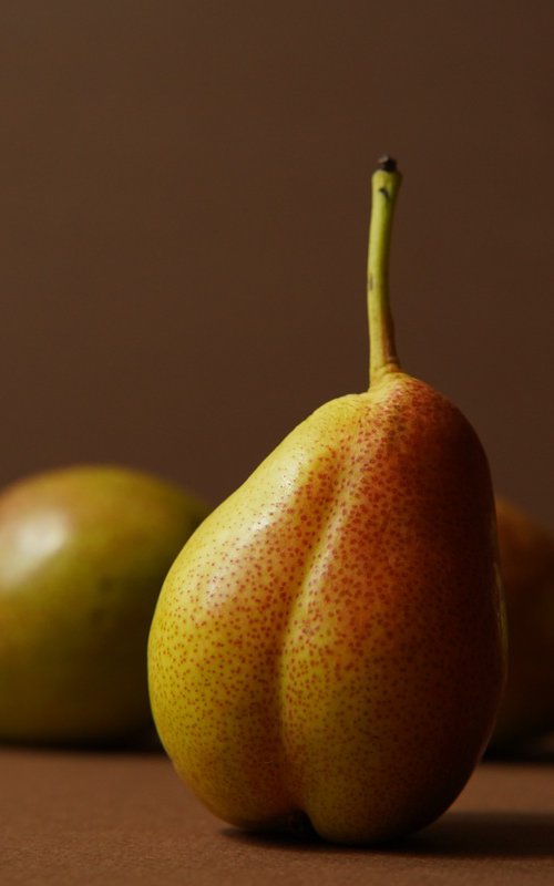 pears by Ekaterina Vasileva