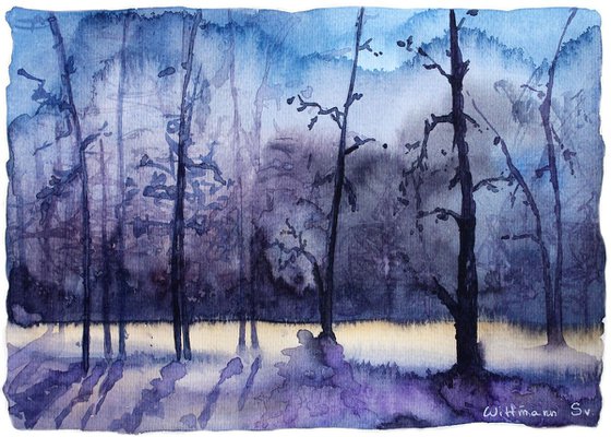 Siberian evening landscape