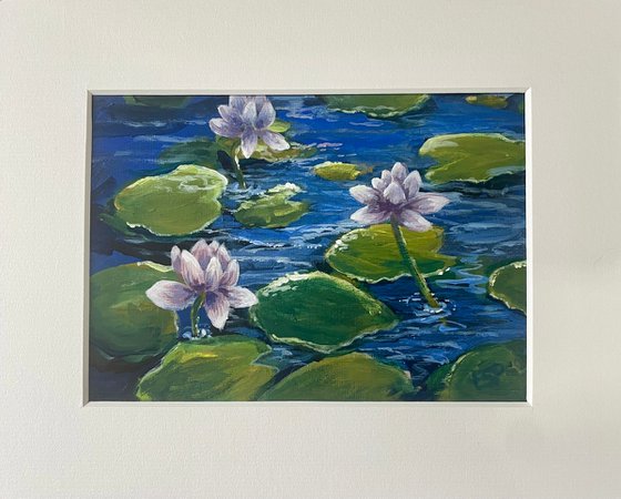 Lilac water lilies