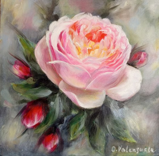 Tender Bloom