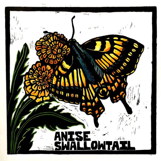 Anise Swallowtail