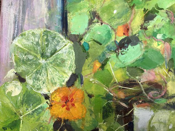 Nasturtiums #2