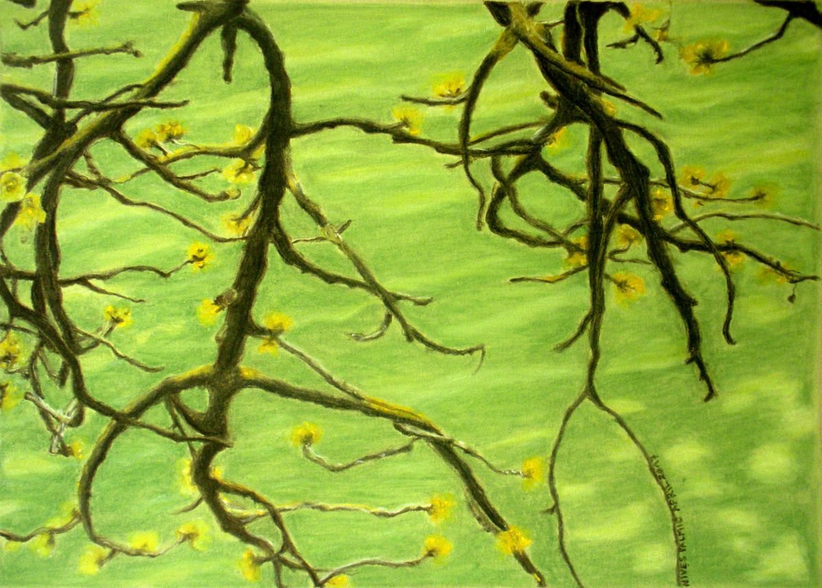 SPRING BRANCHES UNDER THE WATER by Nives Palmic
