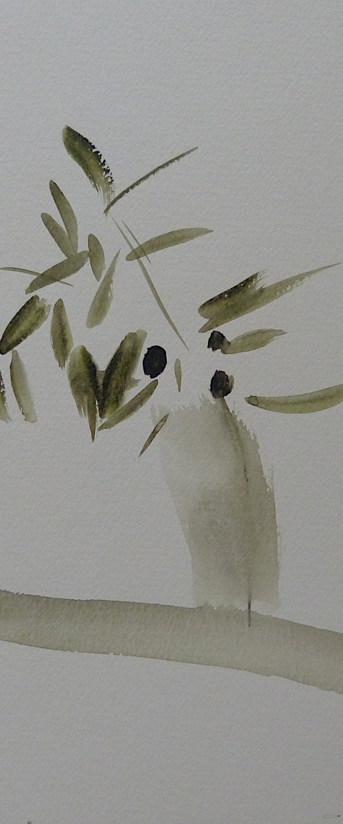 Still Life: The Olive Branch by Frederic Belaubre