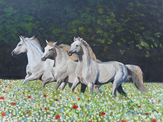 HORSES