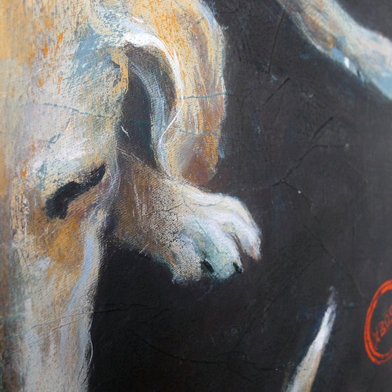 Ears, paws and tail.