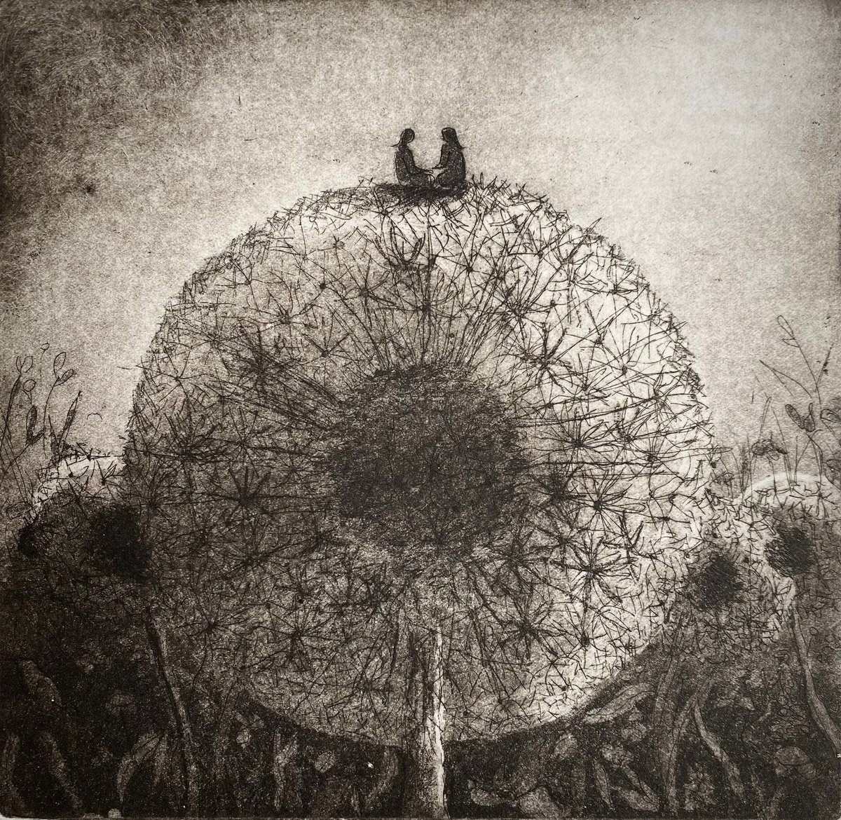 Illustrative Etchings & Engravings , Dandelion Chat By Rebecca Denton, 10 X 10, Artwork For Sale On Artfinder