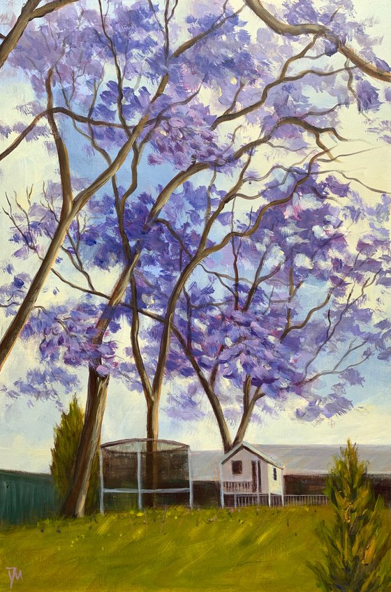 Backyard with jacaranda