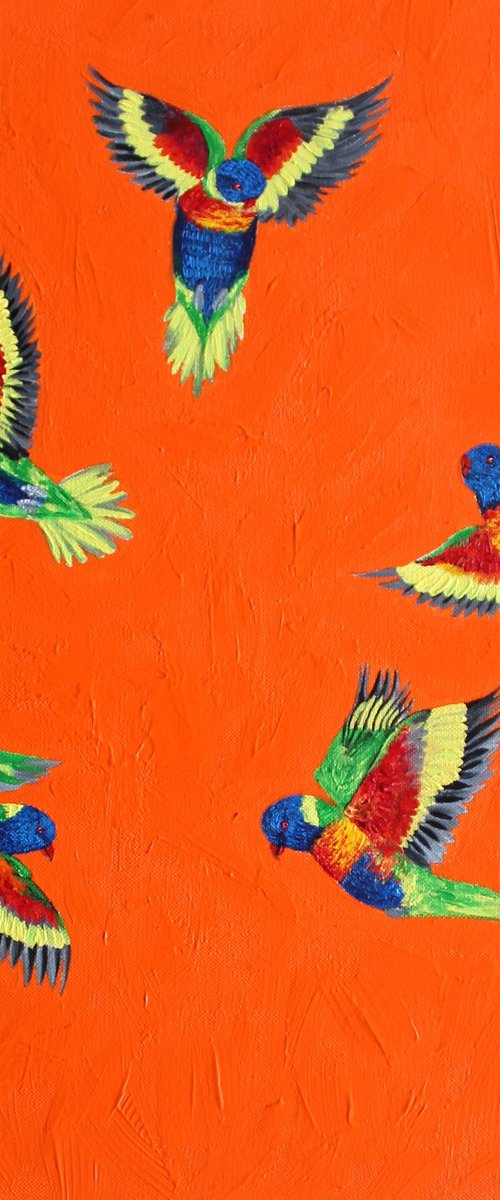 Rainbow Lorikeets in Flight by Vikashini Palanisamy