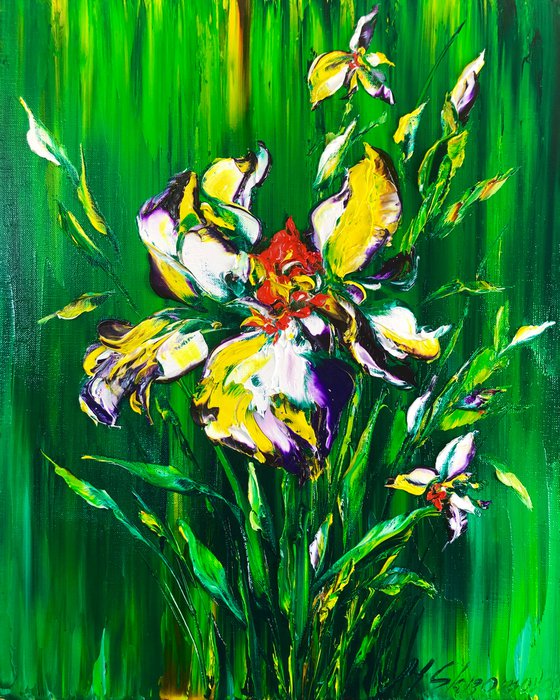 ROYAL IRIS