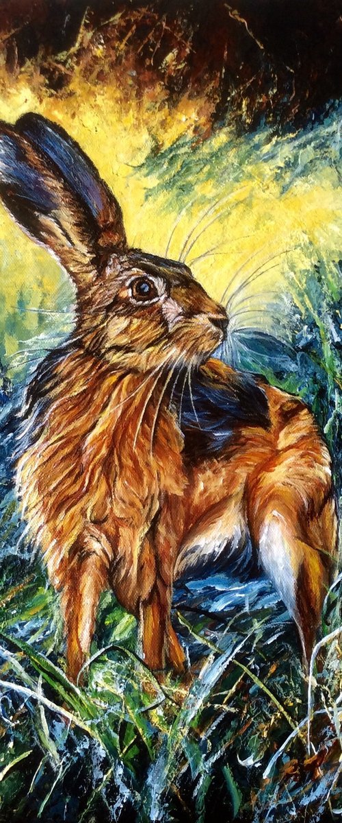 Magical Hare by Kate Ferguson