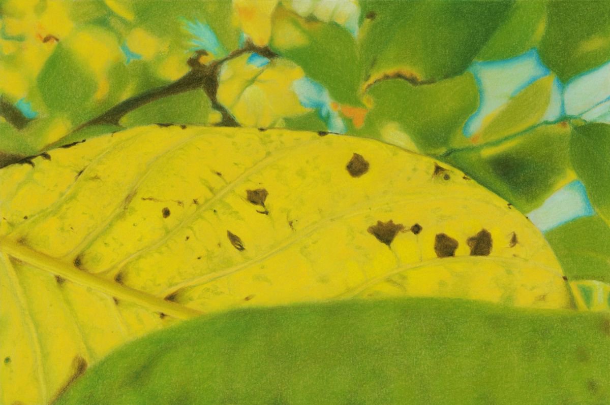 Photorealistic Botanical Pastel Drawing By Nives Palmic, 17 X 12", Landscape Of Leaves, Original Artwork