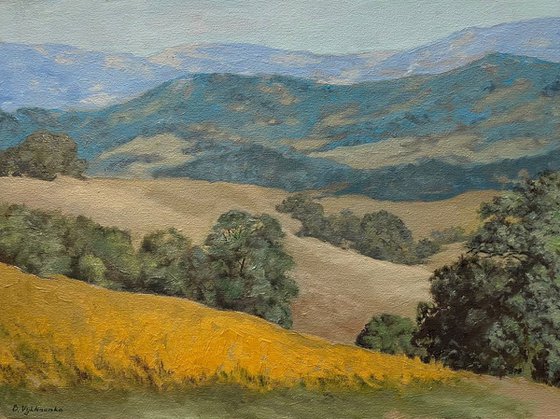 Calm fields
