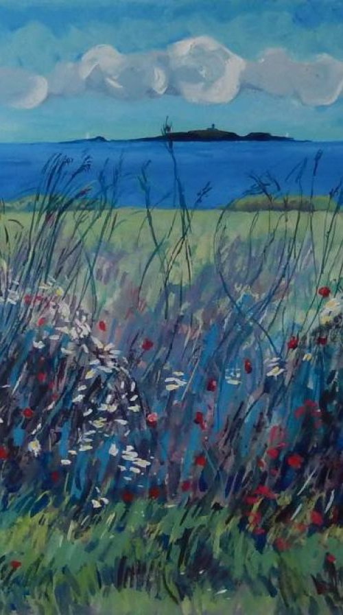 Wild Flowers, The May Island by Stephen Howard Harrison