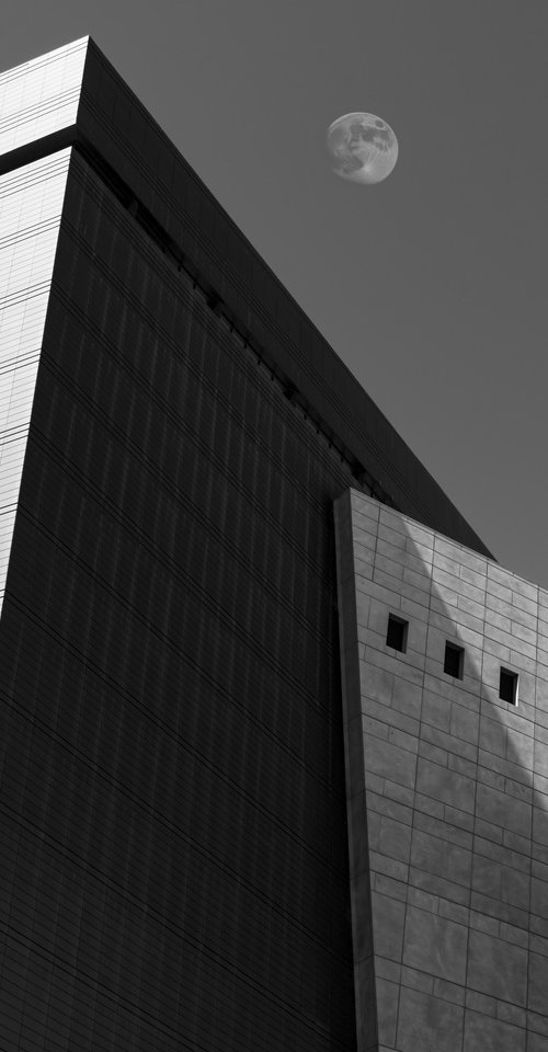 Elevated Silence by Brandon LeValley