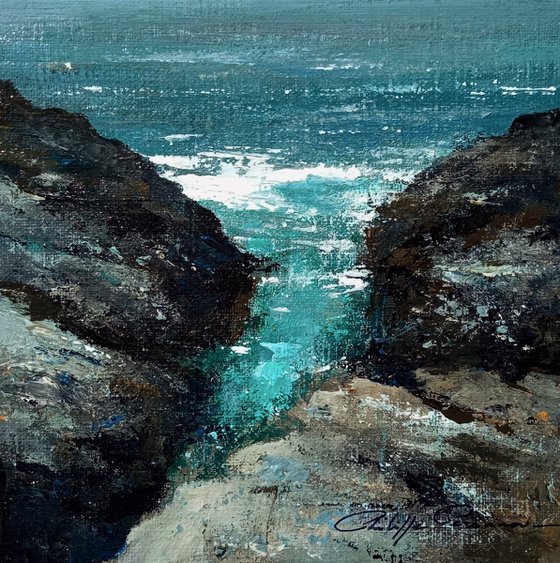 La côte sauvage , réf 1899