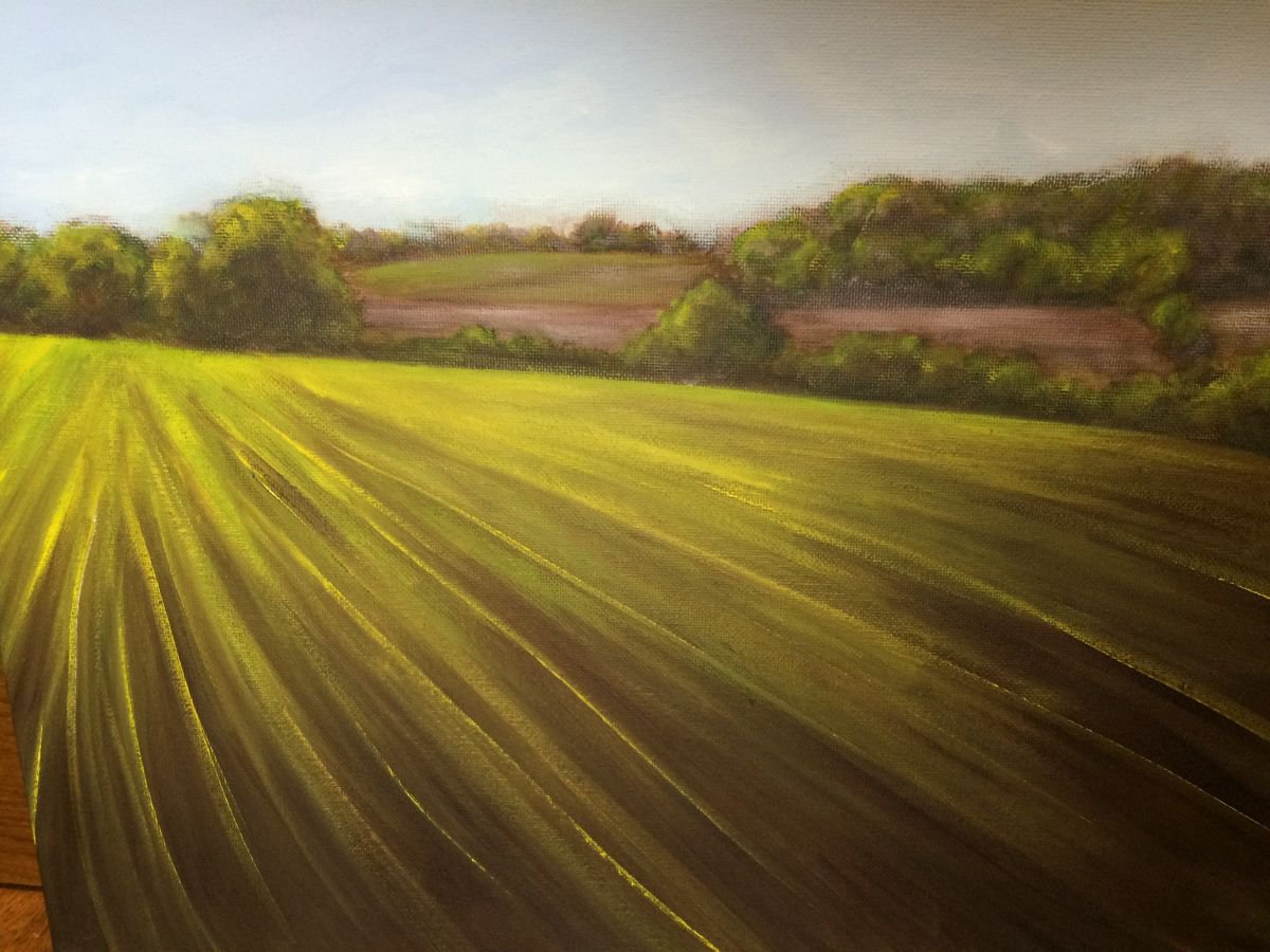 Chiltern Hills by Clare Hoath
