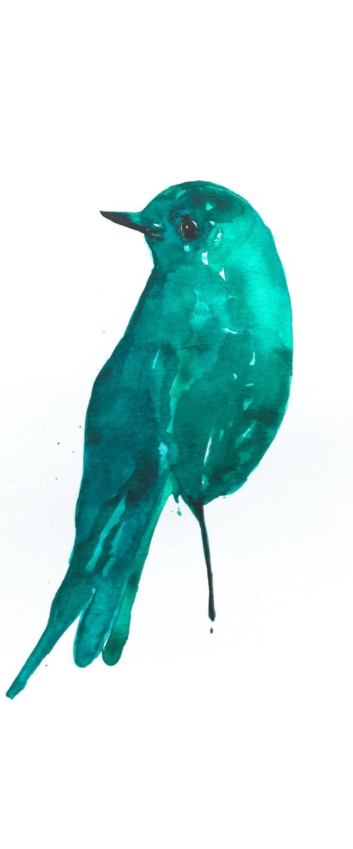 Bird by Nadia Moniatis