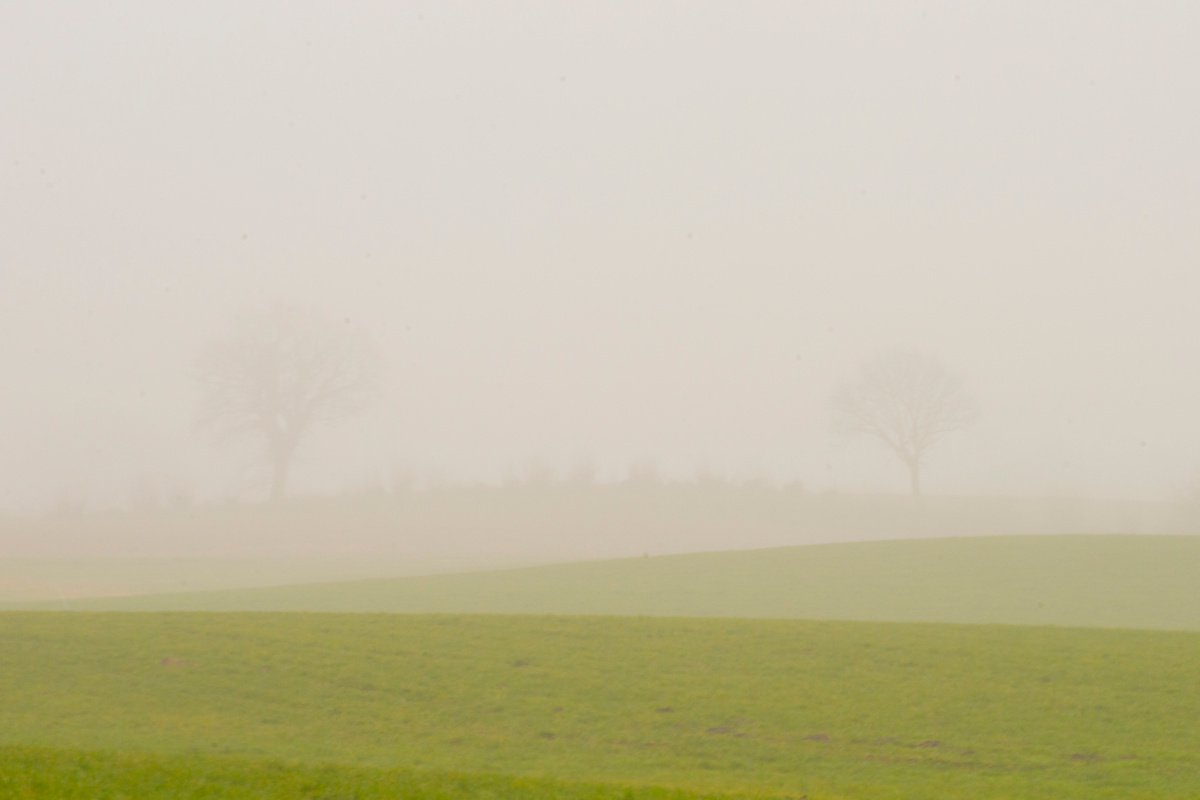 foggy landscape 2 by Jochim Lichtenberger