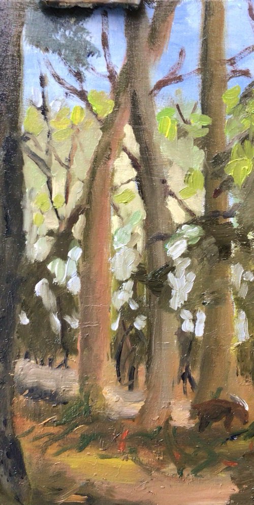 Munt Jac deer in the forest by Julian Lovegrove Art