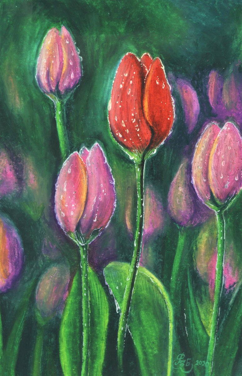 Proud Tulip by Effrosyni Pitsalidou