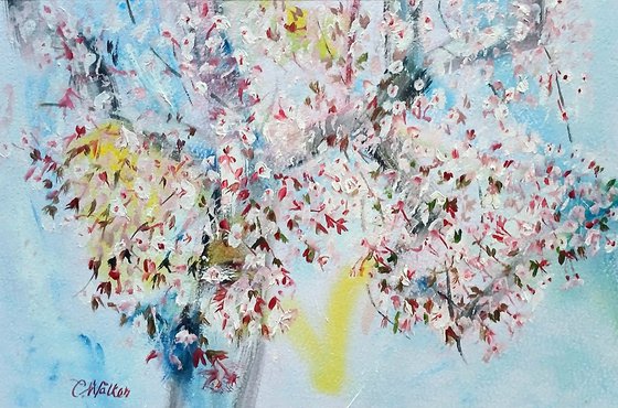 le cerisier en fleurs